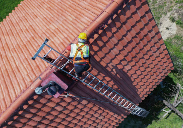 Best Skylight Installation and Repair  in Waxahachie, TX